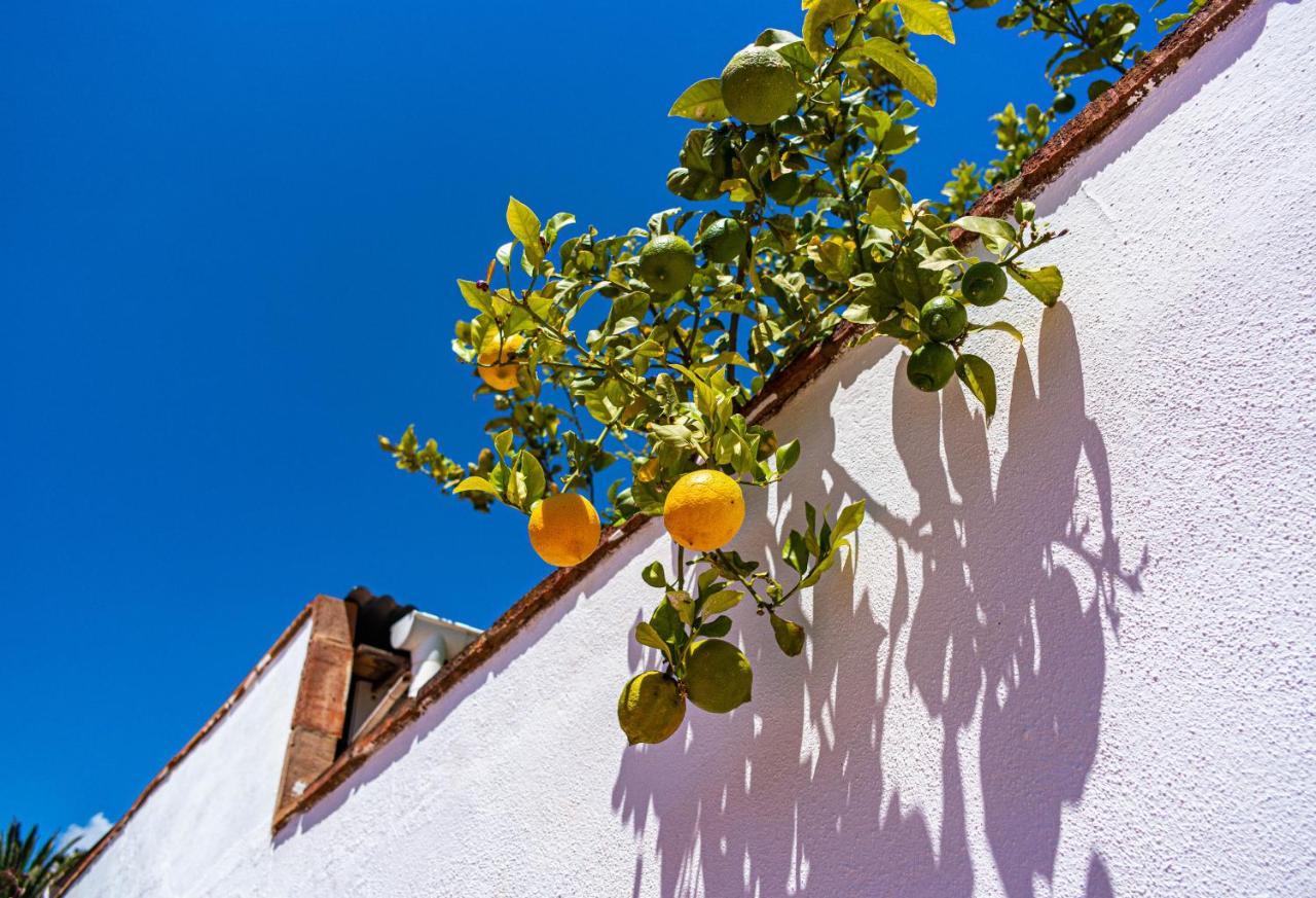 Villa Yanna Benalmádena Exteriér fotografie